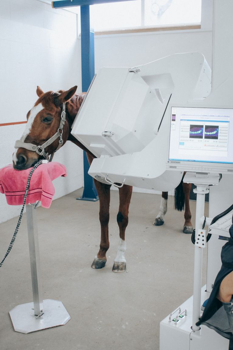 Veterinary Imaging Devices 5